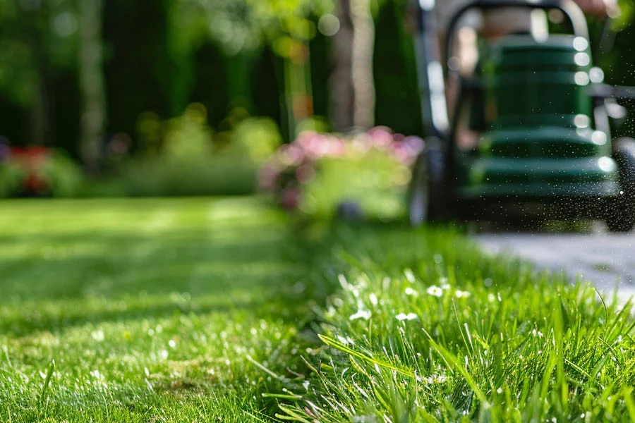 small electric push mower